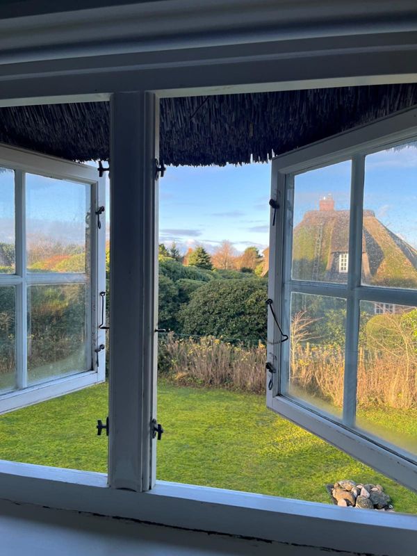 Blick aus dem Fenster in den Garten